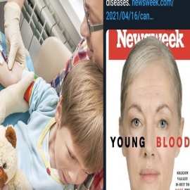 Usan la sangre de niños para tratamientos de rejuvenecimiento: Empresas tecnológicas invierten millones en los «tratamientos»