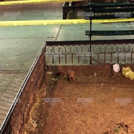 Extraña aparición de cráneo humano en el parque de San Juan