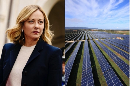 El Gobierno de Meloni prohíbe los paneles solares en tierras cultivables mientras Sánchez avanza en la tala de miles de olivos
