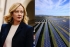 El Gobierno de Meloni prohíbe los paneles solares en tierras cultivables mientras Sánchez avanza en la tala de miles de olivos