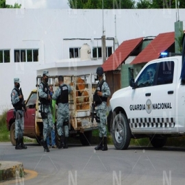 Tekax: detenido por la Guardia Nacional por transportar madera de cedro sin permisos
