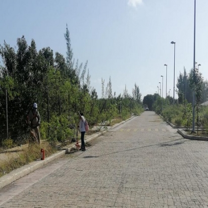 Cancún: Limpian el Malecón Tajamar; ayer anunciaron su reapertura oficial