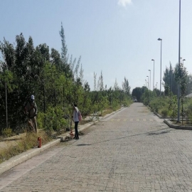Cancún: Limpian el Malecón Tajamar; ayer anunciaron su reapertura oficial