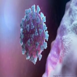 Incluso una infección leve por COVID desarrolla una protección de anticuerpos que podría durar toda la vida