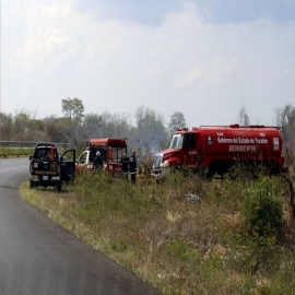 En lo que va de la temporada de sequía se han registrado 600 incendios en Yucatán