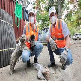 Ahorro en pirotecnia de fiestas patrias a esterilización de mascotas: VMT