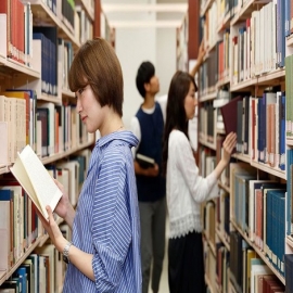 Yucatán: Japón lanza beca para estudiantes mexicanos