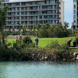 Denuncian otra tala de mangle en la zona de Puerto Cancún