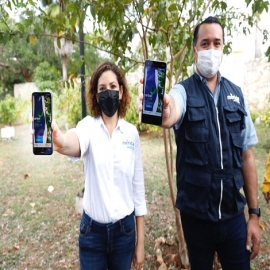 Mérida avanza en acciones sustentables a favor del medio ambiente y la calidad de vida, indica el alcalde Renán Barrera