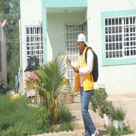 Avanza el dengue en Yucatán: se diagnostica casi un caso por día este 2020