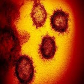 Un estudio confirma que el Covid-19 es una enfermedad vascular