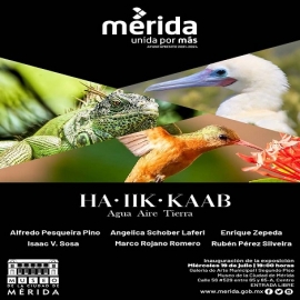 HA IIK KAAB