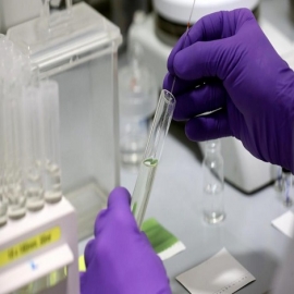 Investigadores australianos demuestran que un fármaco antiparasitario mata al coronavirus en 48 horas
