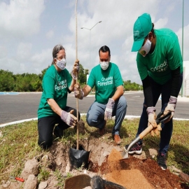 Las acciones municipales a favor del medioambiente, firmes a pesar de la pandemia, indica el alcalde Renán Barrera
