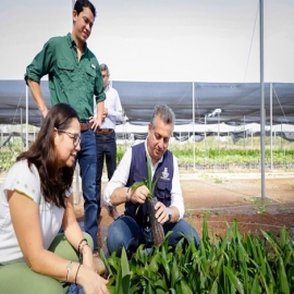 El Ayuntamiento promueve acciones a favor del medio ambiente y del combate al cambio climático.