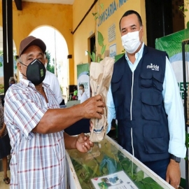 Mediante el programa “Adopta un Árbol”, el Ayuntamiento apoya la reforestación de las comunidades afectadas por las inundaciones
