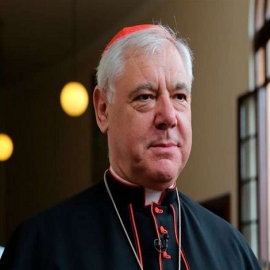 Cardenal Müller: Los políticos católicos deben luchar contra el aborto y la eutanasia