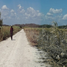 Chetumal: Campo de Quintana Roo, marginado de programas federales