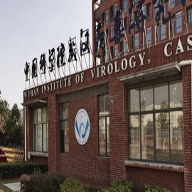 Un estudio afirma que los científicos chinos diseñaron COVID-19