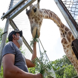 Guardanimales una vida profesando amor a los residentes de los zoológicos