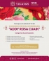 Lanzan Concurso Estatal de Bordado Addy Rosa Cuaik