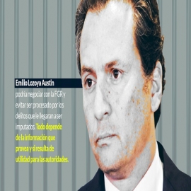 Lozoya hablará: Ana Lilia Pérez. Busca salvar a su familia y pasar sus cargos a EPN y Videgaray, dice