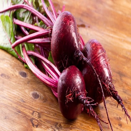 Fortalece el sistema inmune y tiene valiosos nutrientes… Beneficios del betabel