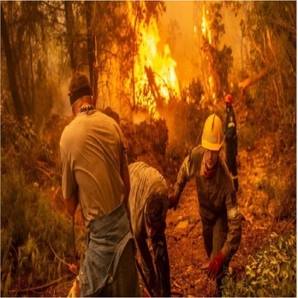 Alto funcionario admite que los incendios forestales griegos fueron causados ​​por incendios provocados, no por el ‘cambio climático’