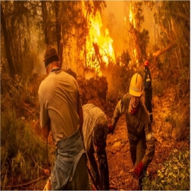 Alto funcionario admite que los incendios forestales griegos fueron causados ​​por incendios provocados, no por el ‘cambio climático’