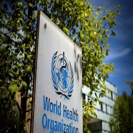 Santa Sede será miembro observador de la Organización Mundial de la Salud