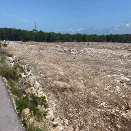 Playa del Carmen: Denuncian remoción vegetal de cuatro hectáreas