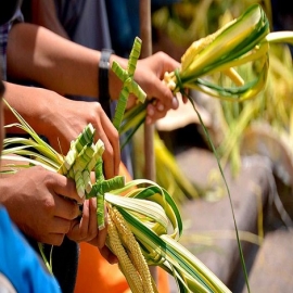 Coronavirus: Cada vez más fieles se suman a esta iniciativa para el Domingo de Ramos