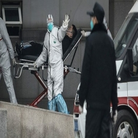 Toda la evidencia ahora señala al laboratorio de bioseguridad de Wuhan después de que un condenatorio informe de inteligencia de EEUU salga a la luz