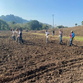Predicciones 2021: ‘señales’ auguran buen año para el campo de Q. Roo