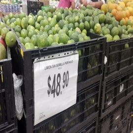Yucatán: Se dispara el precio del limón y llega casi a los 50 pesos por kilo