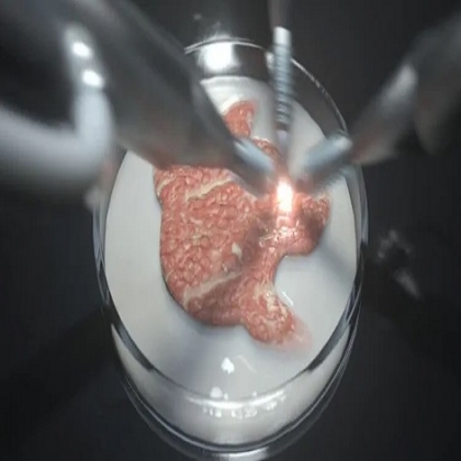 La verdadera razón por la que Bill Gates, Jeff Bezos y Google quieren que comas ‘carne’ cultivada en laboratorio