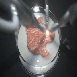 La verdadera razón por la que Bill Gates, Jeff Bezos y Google quieren que comas ‘carne’ cultivada en laboratorio
