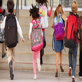 Una escuela en Mallorca obliga a los niños a leer un cómic pornográfico