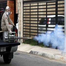 “Desaparecen” los casos de dengue en la Península de Yucatán