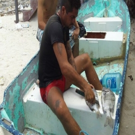Yucatán: Entregarán vale de despensa de 1200 pesos a pescadores por veda de mero