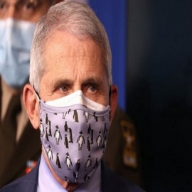 Más evidencias contra Fauci, el tipo que animaba a usar más de una mascarilla reconociendo en un correo electrónico que no sirven para nada
