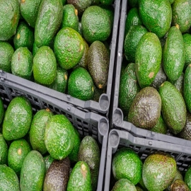 Este país tiene un exceso de oferta de aguacates e intenta convencer a los residentes de que coman más