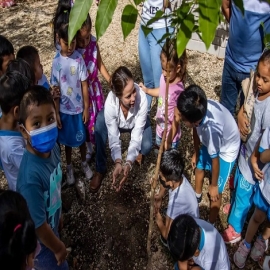 Gobierno del Estado ha distribuido más de 75,000 plantas en escuelas de Yucatán, a través de la estrategia “Un niño, un árbol”