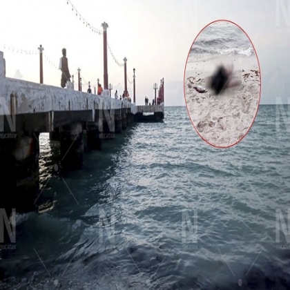 Turista muere tras lanzarse del muelle de Sisal