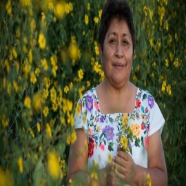 Leydy Pech, indígena maya que le puso un hasta aquí a Monsanto, gana premio ambiental global