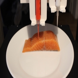 ¿“Salmón” de vegetales y en impresora 3-D que no daña el planeta? No es el futuro. Es Austria