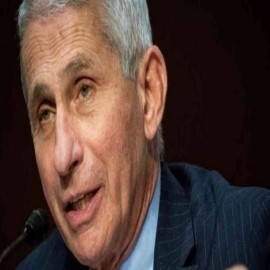 Fauci es responsable de cientos de miles de muertes por bloquear la hidroxicloroquina, dice experto [VIDEO]