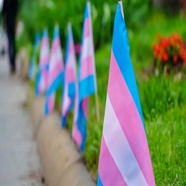 España financia talleres sobre juguetes sexuales y disidencia trans en Latinoamérica
