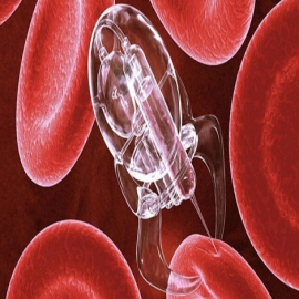 Nanorobot encontrado en la prueba de PCR