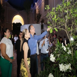 La muestra gratuita se compone de más de 35 mil plantas, tanto de flores como de follajes.